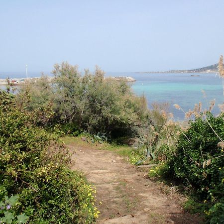 Hostellerie L'Empereur Algajola (Corsica) Exterior foto